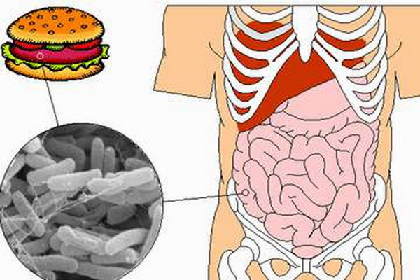 Thức ăn có nhiễm trực khuẩn lỵ có thể gây ngộ độc khi người ăn phải